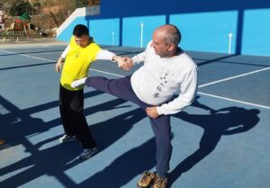Formación continua en Kung Fu Tai Ji